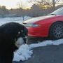 bumpsteer